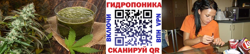 Печенье с ТГК марихуана купить закладку мега как зайти Анжеро-Судженск