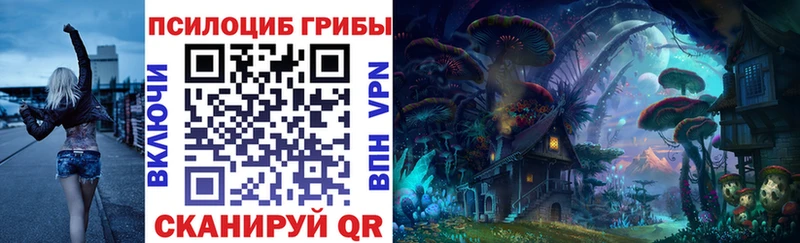 Галлюциногенные грибы Psilocybine cubensis  KRAKEN ССЫЛКА  Анжеро-Судженск 