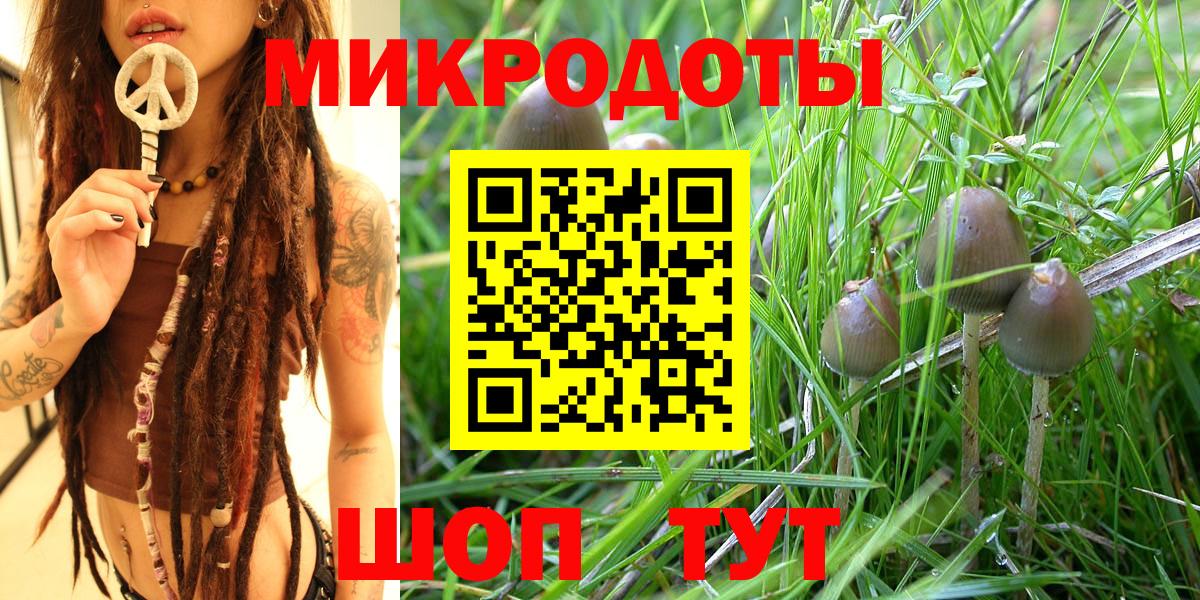 Анжеро-Судженск  Псилоцибиновые грибы Magic Shrooms  Вход с VPN  купить наркотики цена  Галлюциногенные грибы Cubensis 